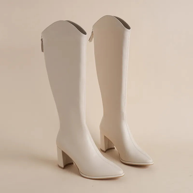 Plus Size 34-43 New Women Boots Zipper Thick High Heels Winter Boots