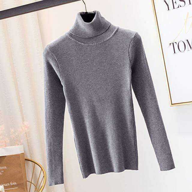 Autumn Winter Knitted Sweater Pullovers Turtleneck Sweater
