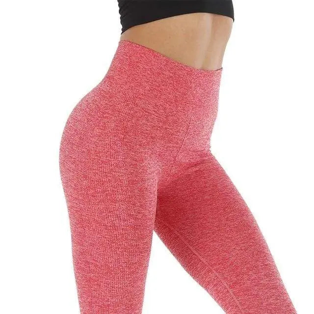 Kaminsky Women Seamless Leggings Athleisure Sweat Pants